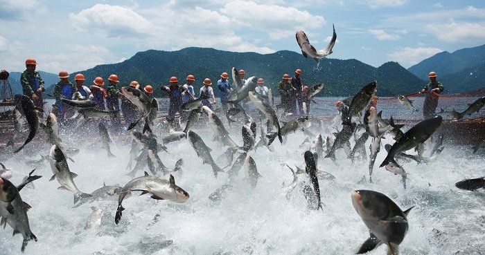 可按栏目接着查阅相关条目